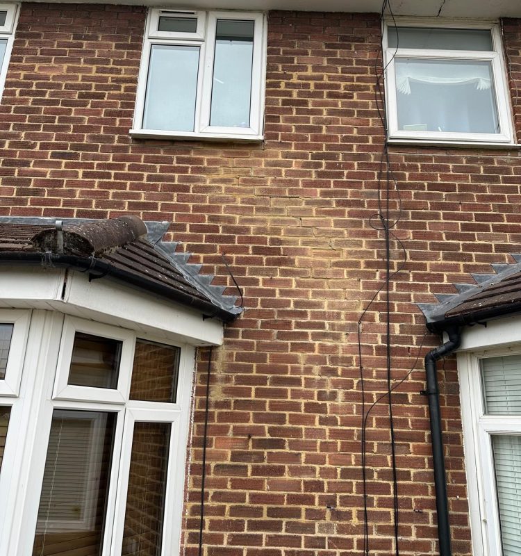 WhatsApp Image 2025-10-15 at 21.55.48